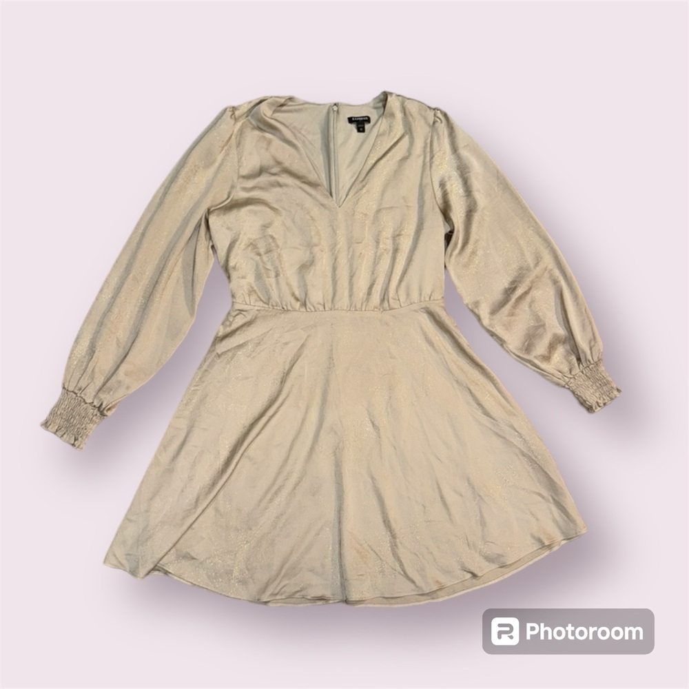 Express Champagne Long-Sleeve‎ V-Neck Mini Dress